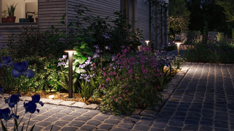 Paulmann 94755 LED Pollerleuchte Smart Home Zigbee Plate insektenfreundlich IP44 600mm Tunable Warm 5,5W 280lm 230V Anthrazit Metall#Kunststoff