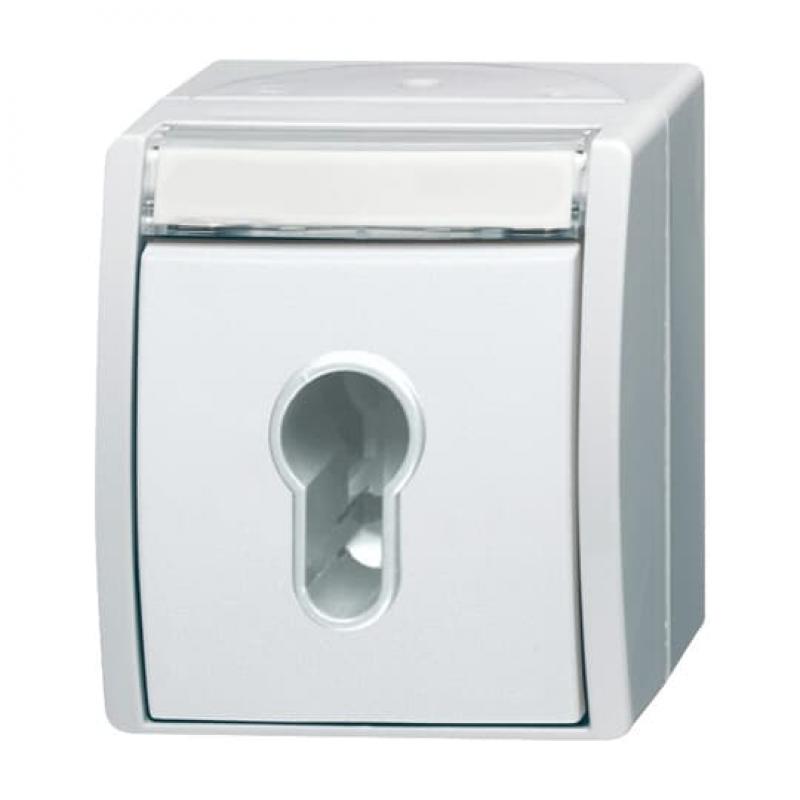 Busch-Jaeger 2733 SLW-54 Schlüsselschalter Ausschaltung 1-polig