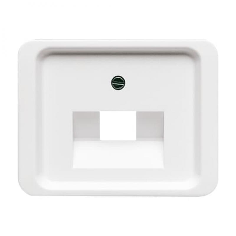 Busch-Jaeger 1803-24G Zentralscheibe für UAE-Anschlussdosen