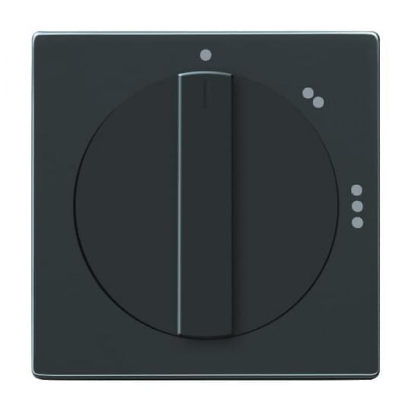 Busch-Jaeger 2542 DR/02-81 Zentralscheibe mit Drehgriff mit Aufdruck