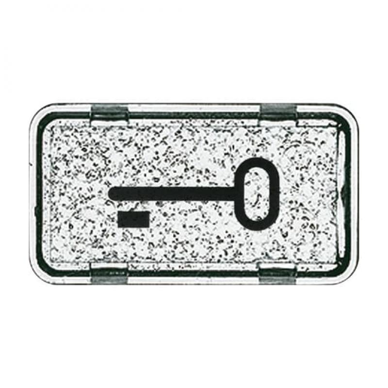 Busch-Jaeger 2622 TR-101 Tastersymbol Schlüssel