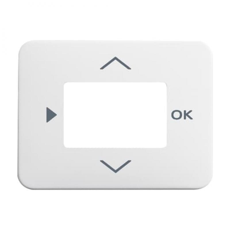 Busch-Jaeger 6435-24G Zentralscheibe