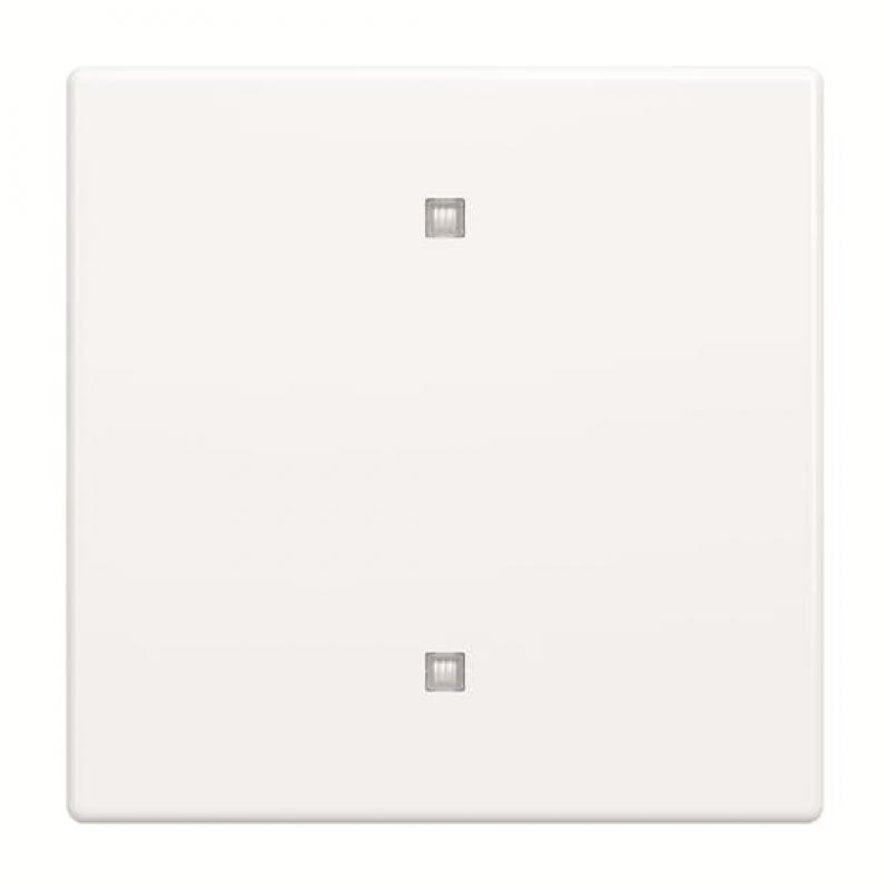 Busch-Jaeger 2570-10-84 2570-10-84 Wippe Elektroniktaster