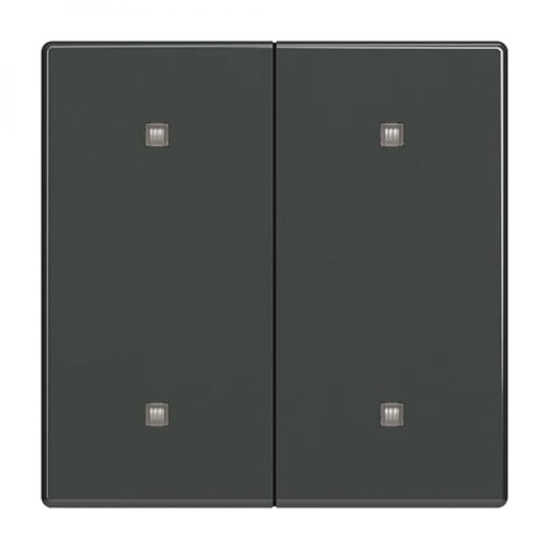 Busch-Jaeger 2570-20-81 2570-20-81 Wippe 2-fach Elekroniktaster