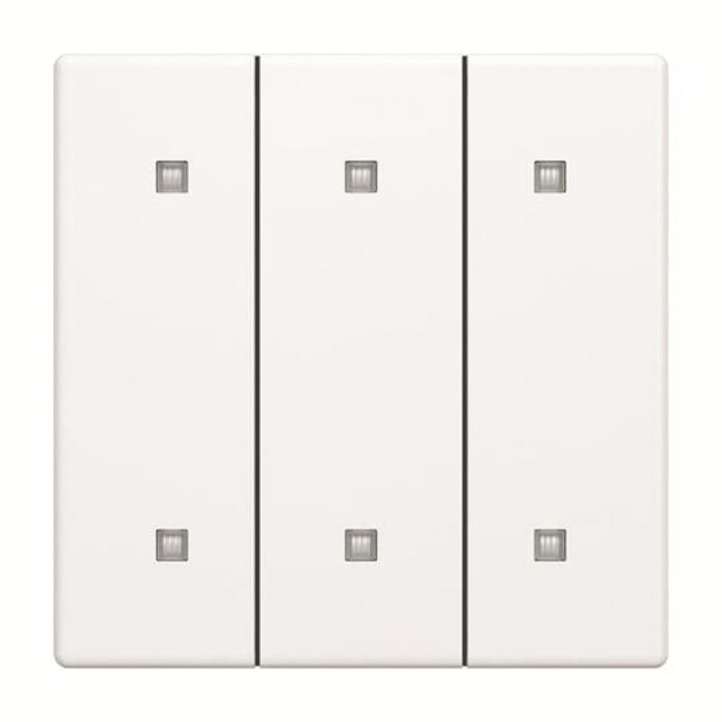 Busch-Jaeger 2570-30-884 2570-30-884 Wippe 3-fach Elekroniktaster