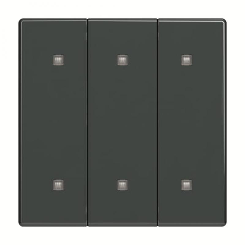 Busch-Jaeger 2570-30-81 2570-30-81 Wippe 3-fach Elekroniktaster