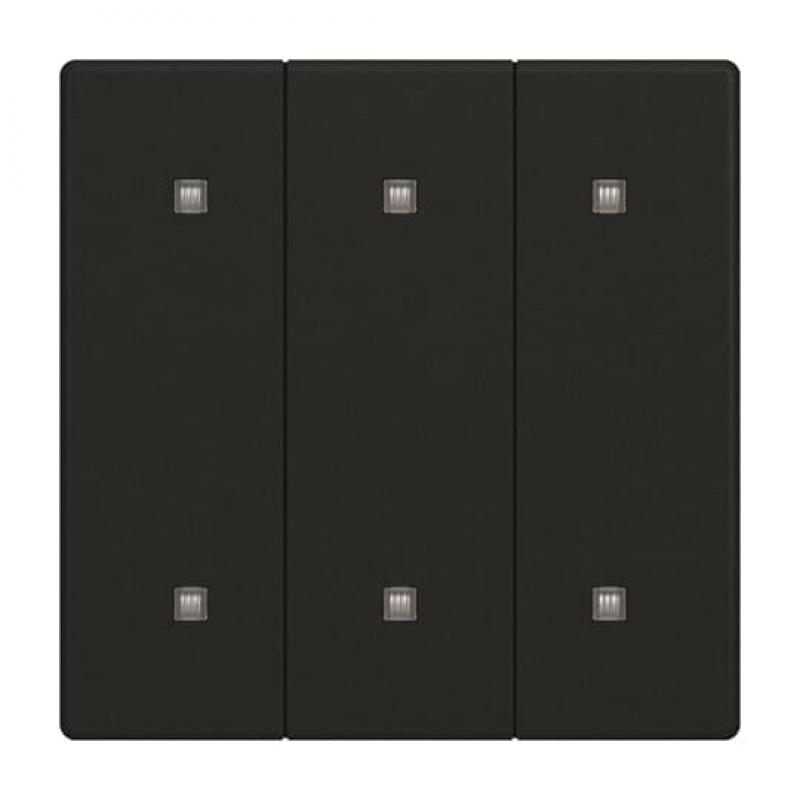 Busch-Jaeger 2570-30-885 2570-30-885 Wippe 3-fach Elekroniktaster