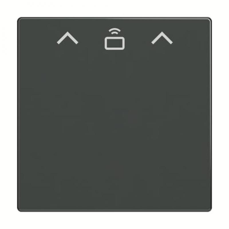 Busch-Jaeger 1792 RFID-81 1792 RFID-81 Zent.Sch.Cardschalter RFID