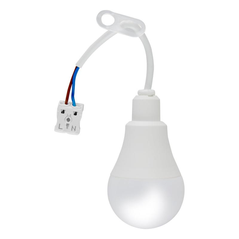 EVN LED Leuchtmittel BF230940