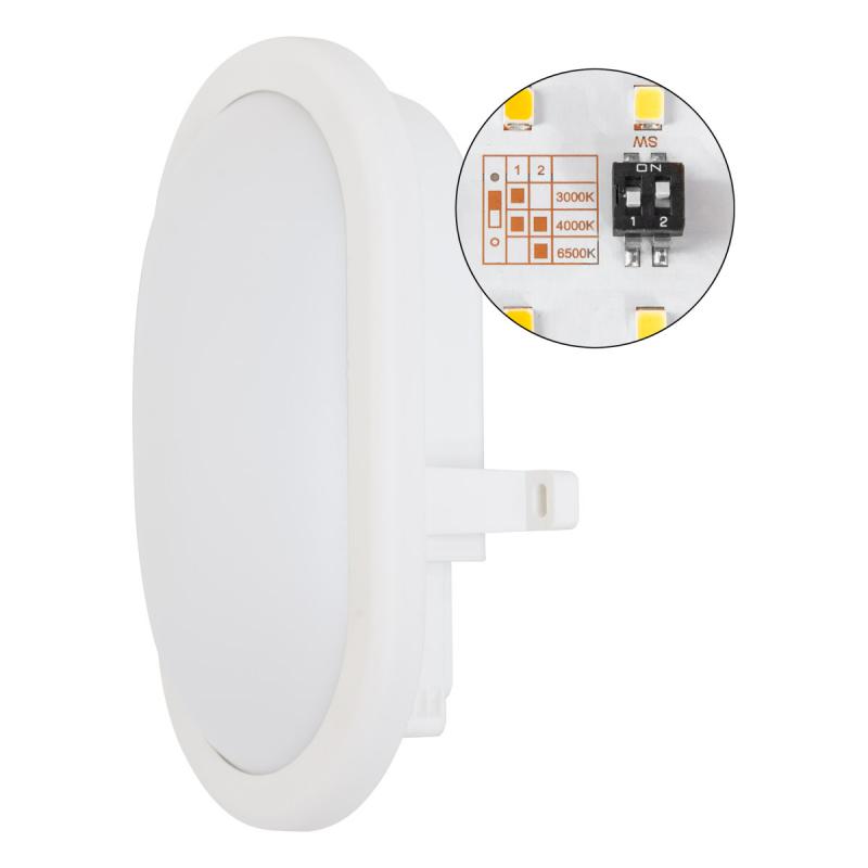 EVN Ovale LED-Anbauleuchte, IP54 LA120125