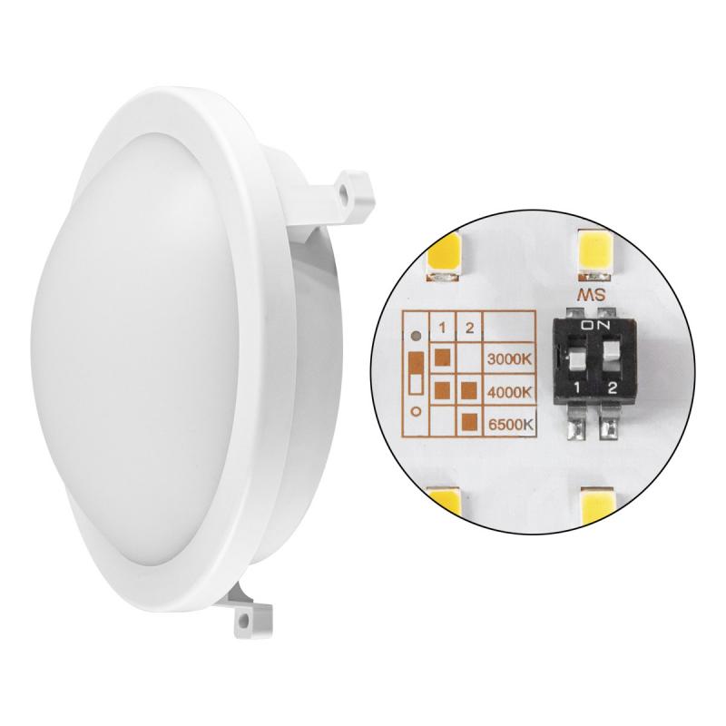 EVN Ovale LED-Anbauleuchte, IP44 LAR120125