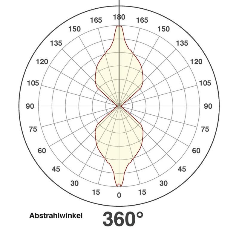 EVN 2-flammige LED Wandaußenleuchte eckig anthrazit IP54 warmweißes Licht
