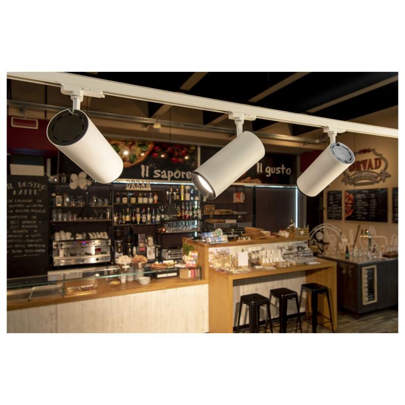 SLV 1005806 NUMINOS DALI XL 3 Phasen Spot weiß / schwarz 36W 3000K 60°