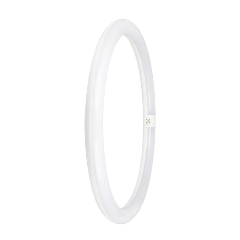 OSRAM T9 G10q LED-Röhre in Ringform 24W Ersatz für 40W 6500K