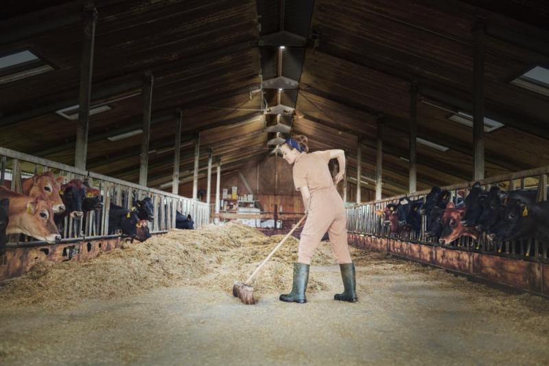 OSRAM LED Hallenleuchte Highbay Ufo 130W 865 IP65 Black