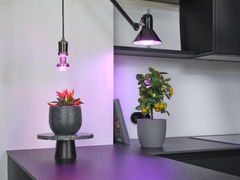 OSRAM E27 LED Strahler Star Grow Lamp T 80 20W Pflanzenlampe