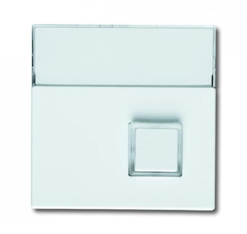 Busch-Jaeger 1571 CN-84 Zentralscheibe 1-fach mit Beschriftungsfeld