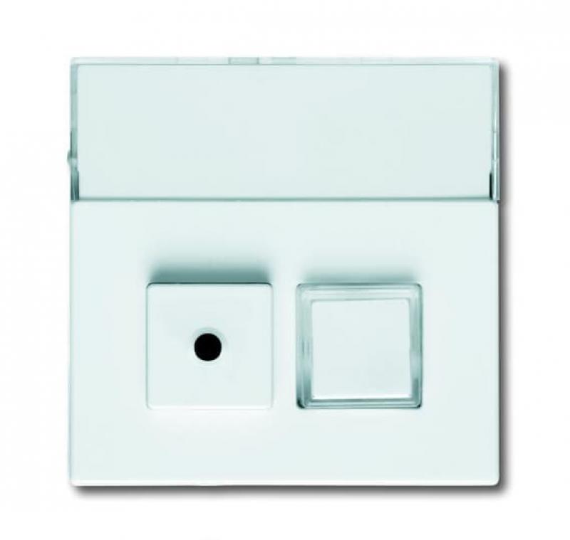 Busch-Jaeger 1572 CN-84 Zentralscheibe 2-fach mit Beschriftungsfeld