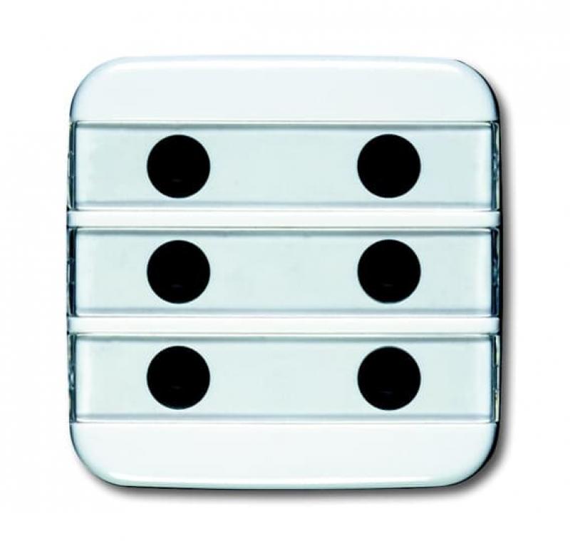 Busch-Jaeger 1575 CN-214 Zentralscheibe 6-fach beleuchtbar mit Beschriftungsfeld