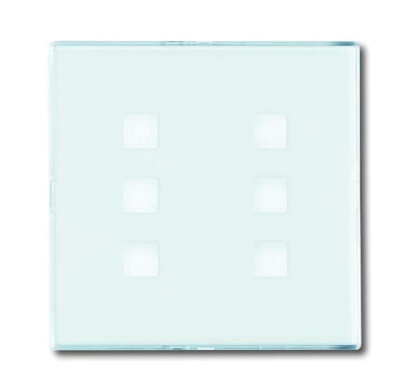 Busch-Jaeger 1575 CN-84 Zentralscheibe 6-fach beleuchtbar mit Beschriftungsfeld