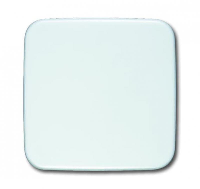 Busch-Jaeger 1576 C-214 Blindzentralscheibe Für Netzteil-Einsatz