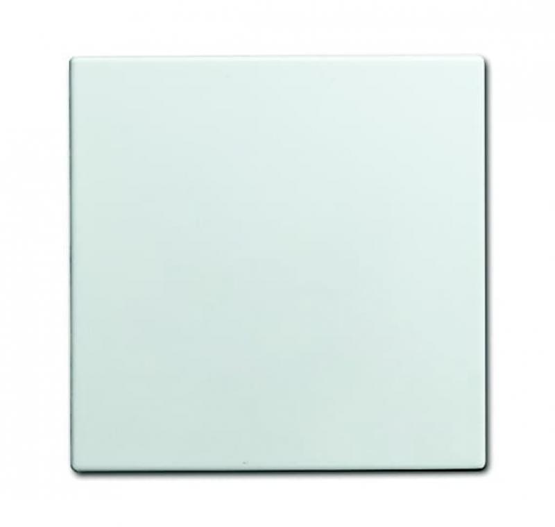 Busch-Jaeger 1576 C-914 Blindzentralscheibe Für Netzteil-Einsatz