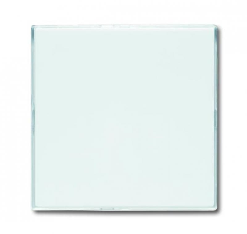 Busch-Jaeger 1576 CN-84 Zentralscheibe mit Beschriftungsfeld