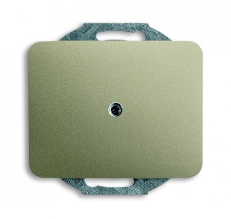 Busch-Jaeger 1742-260 Blindzentralscheibe mit Tragring