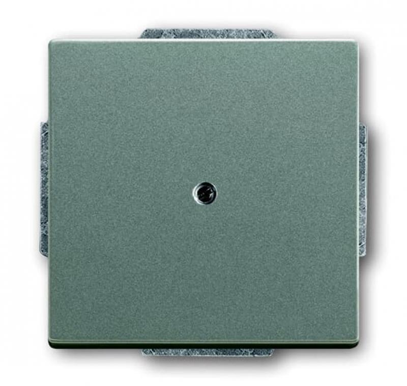 Busch-Jaeger 1742-803 Blindzentralscheibe mit Tragring