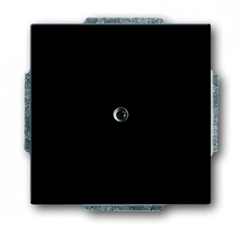 Busch-Jaeger 1742-81 Blindzentralscheibe mit Tragring