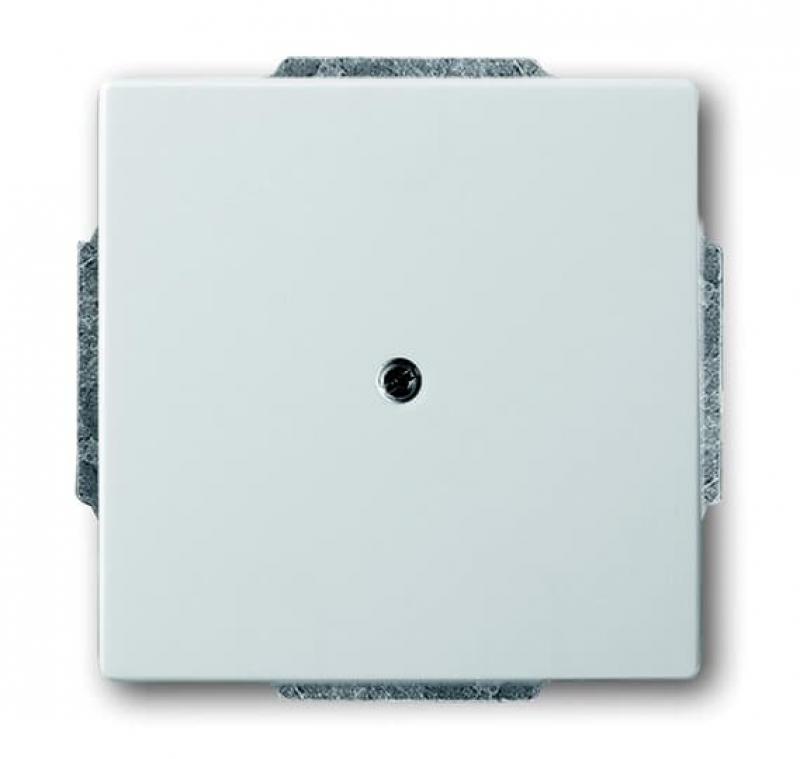 Busch-Jaeger 1742-866 Blindzentralscheibe mit Tragring