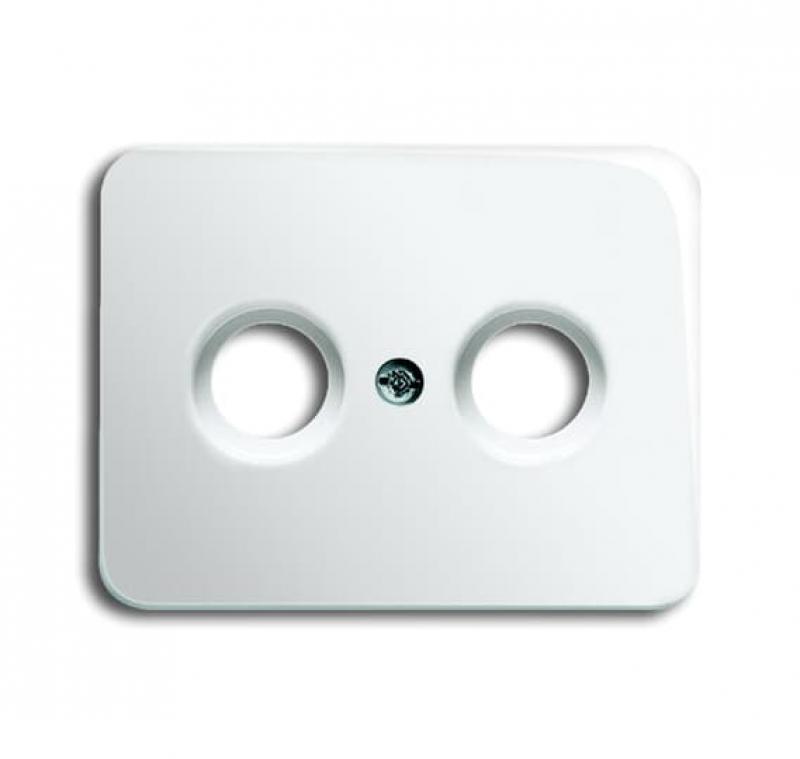 Busch-Jaeger 1743-24G Zentralscheibe als Abdeckung für handelsübliche Antennensteckdosen