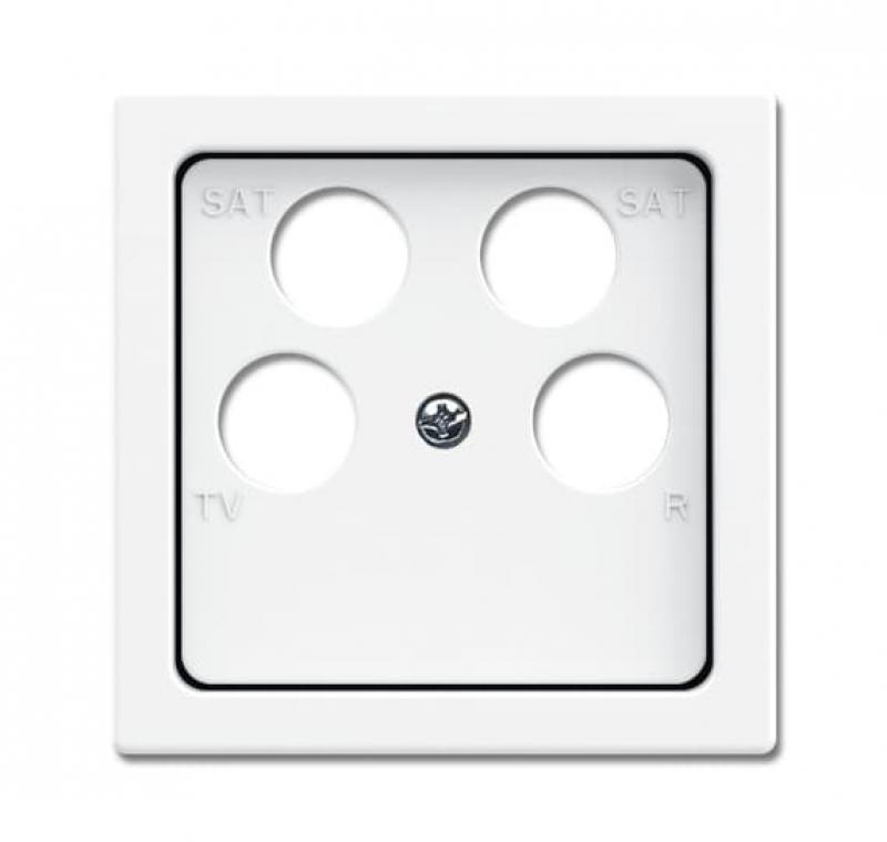 Busch-Jaeger 1743/10-04-84 Zentralscheibe