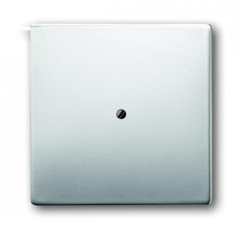 Busch-Jaeger 1745-866 Zentralscheibe