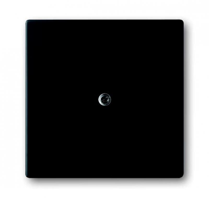 Busch-Jaeger 1745-885 Zentralscheibe