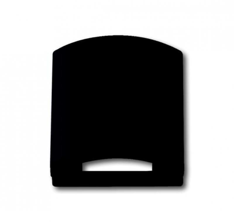 Busch-Jaeger 1746-885 Zentralscheibe