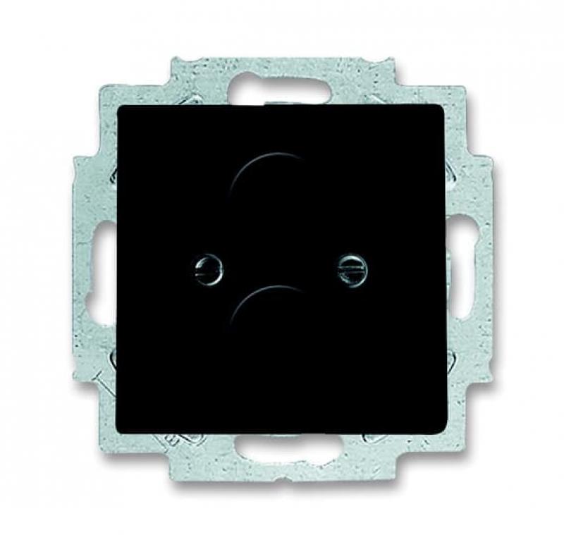 Busch-Jaeger 1748-81 Zentralscheibe mit Tragring