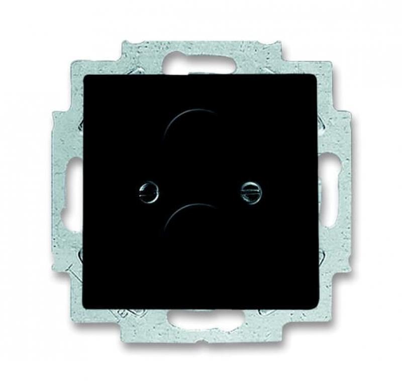 Busch-Jaeger 1748-885 Zentralscheibe mit Tragring