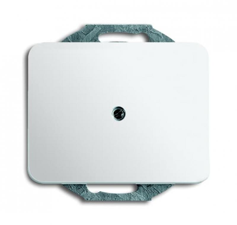 Busch-Jaeger 1749-24G Zentralscheibe mit Tragring