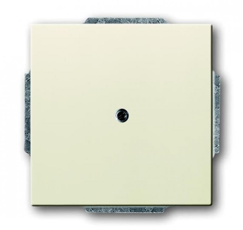 Busch-Jaeger 1749-82 Zentralscheibe mit Leitungsauslass