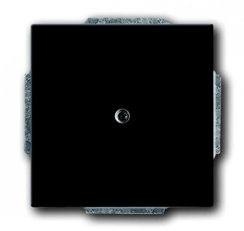 Busch-Jaeger 1749-885 Zentralscheibe mit Leitungsauslass