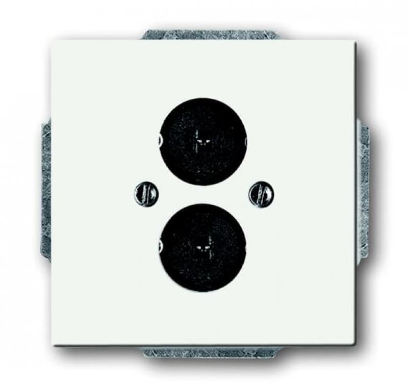 Busch-Jaeger 1751-884 Zentralscheibe mit Tragring