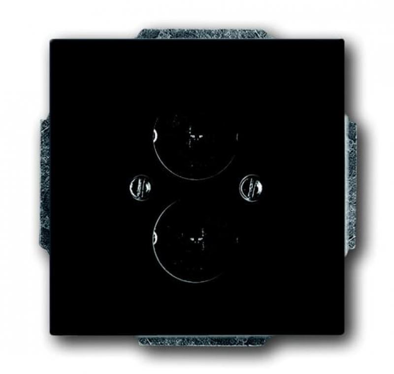 Busch-Jaeger 1751-885 Zentralscheibe mit Tragring