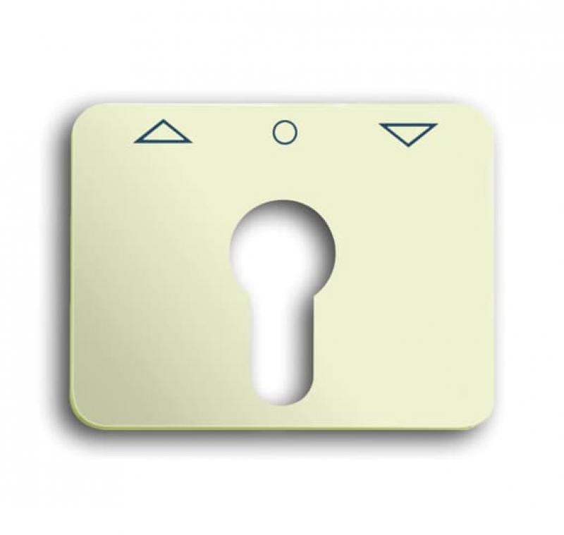 Busch-Jaeger 1755 PZ-22G-101 Zentralscheibe mit Aufdruck