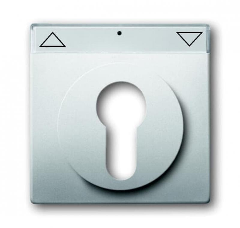 Busch-Jaeger 1755 SL/PZ-866-101 Zentralscheibe mit Beschriftungsfeld