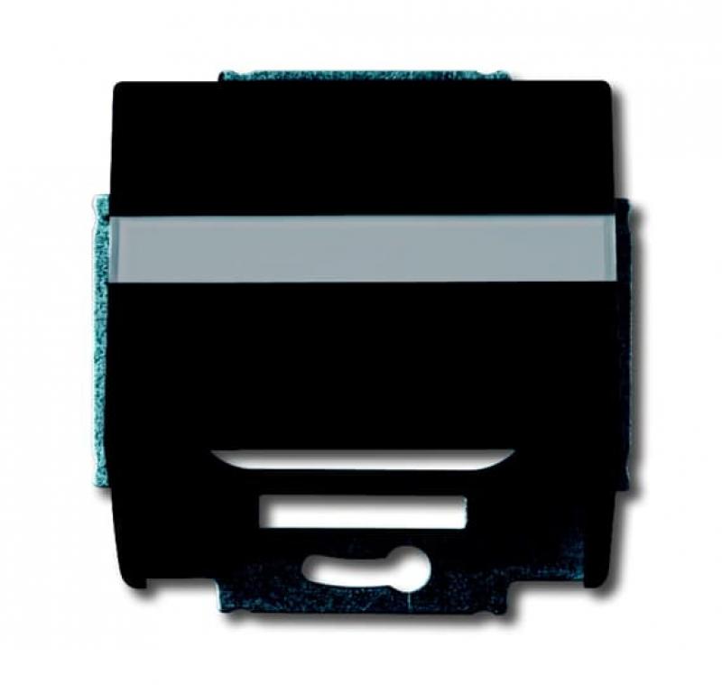 Busch-Jaeger 1758-81 Zentralscheibe mit Tragring