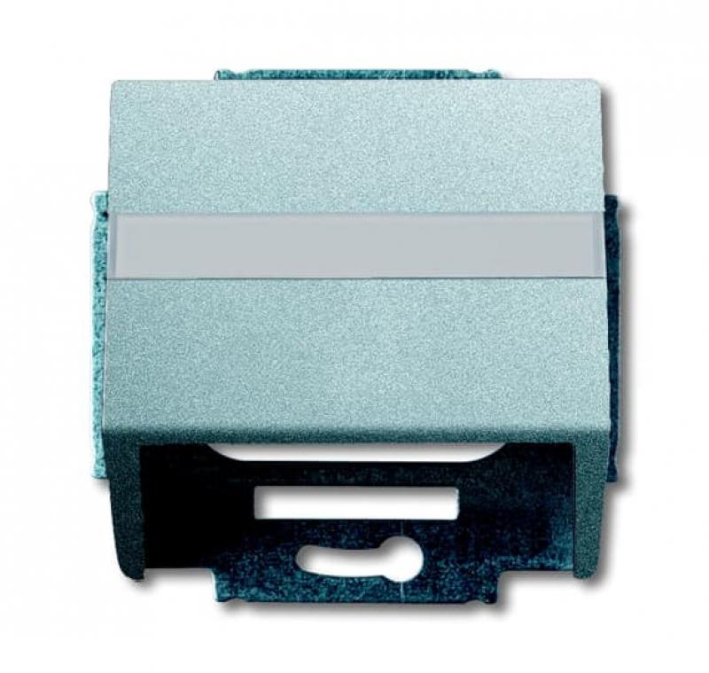 Busch-Jaeger 1758-83 Zentralscheibe mit Tragring