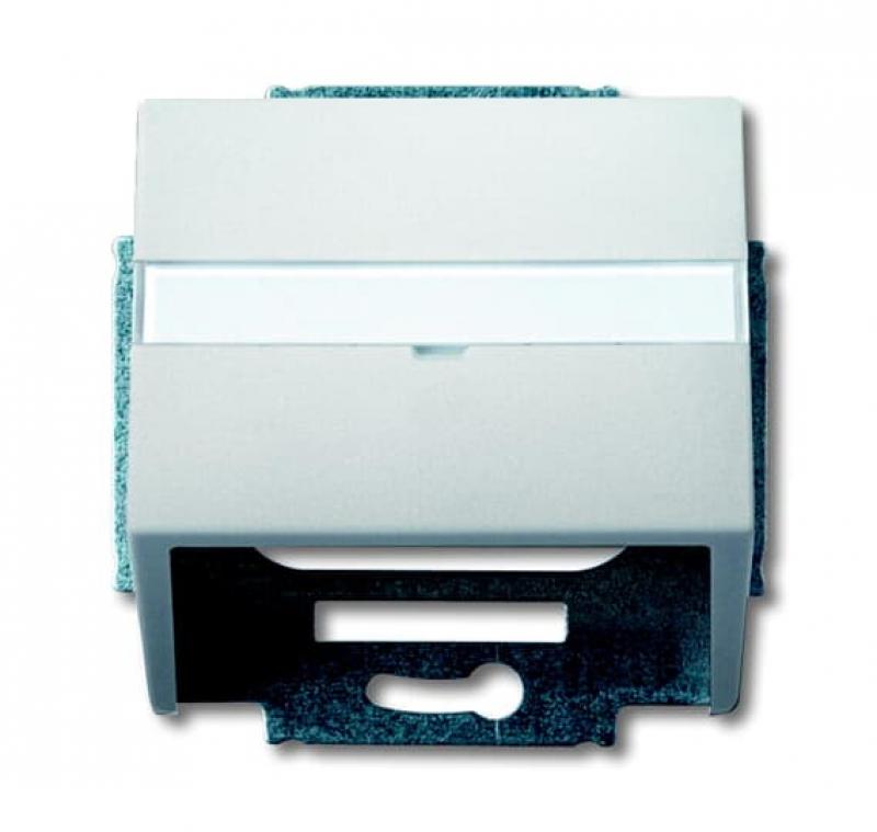 Busch-Jaeger 1758-866 Zentralscheibe mit Tragring