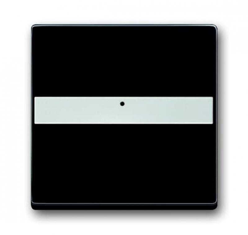 Busch-Jaeger 1764 NLI-885 Wippe mit Beschriftungsfeld