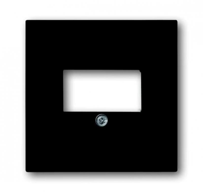 Busch-Jaeger 1766-885 Zentralscheibe